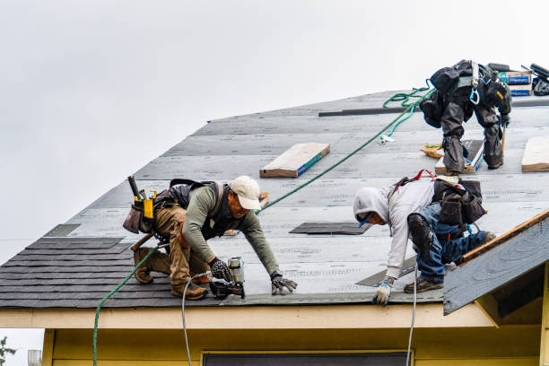 Professional Roofing technician working in Ipava, IL